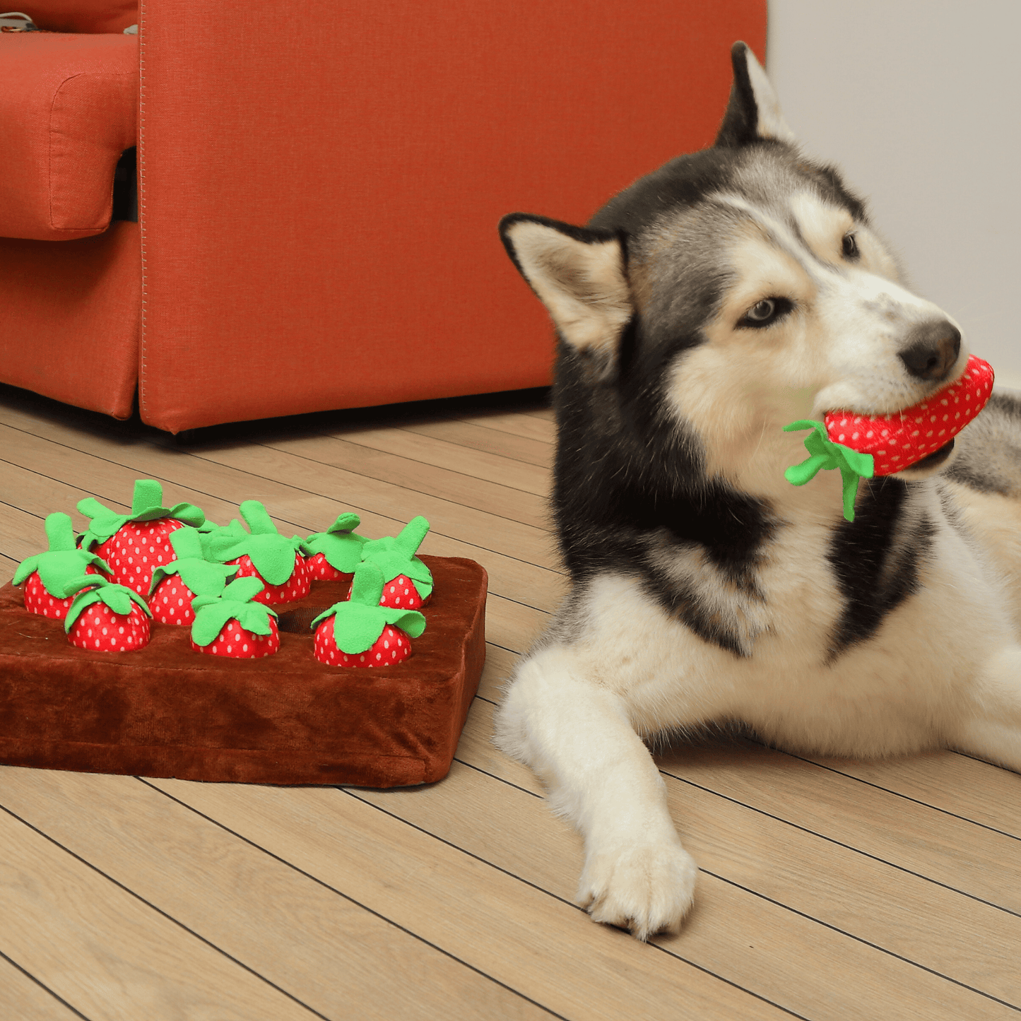 Boredom-Buster Snuffle Mat Strawberries Edition