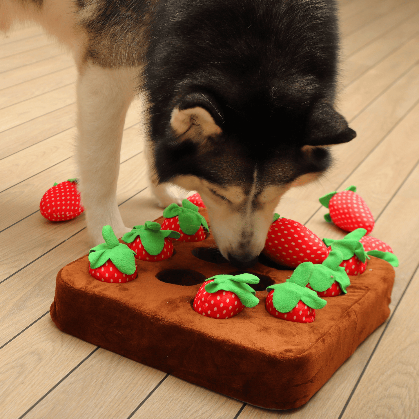 Boredom-Buster Snuffle Mat Strawberries Edition