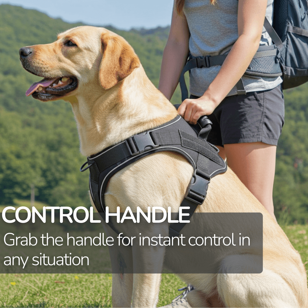 Tactical Titan No-Pull Harness