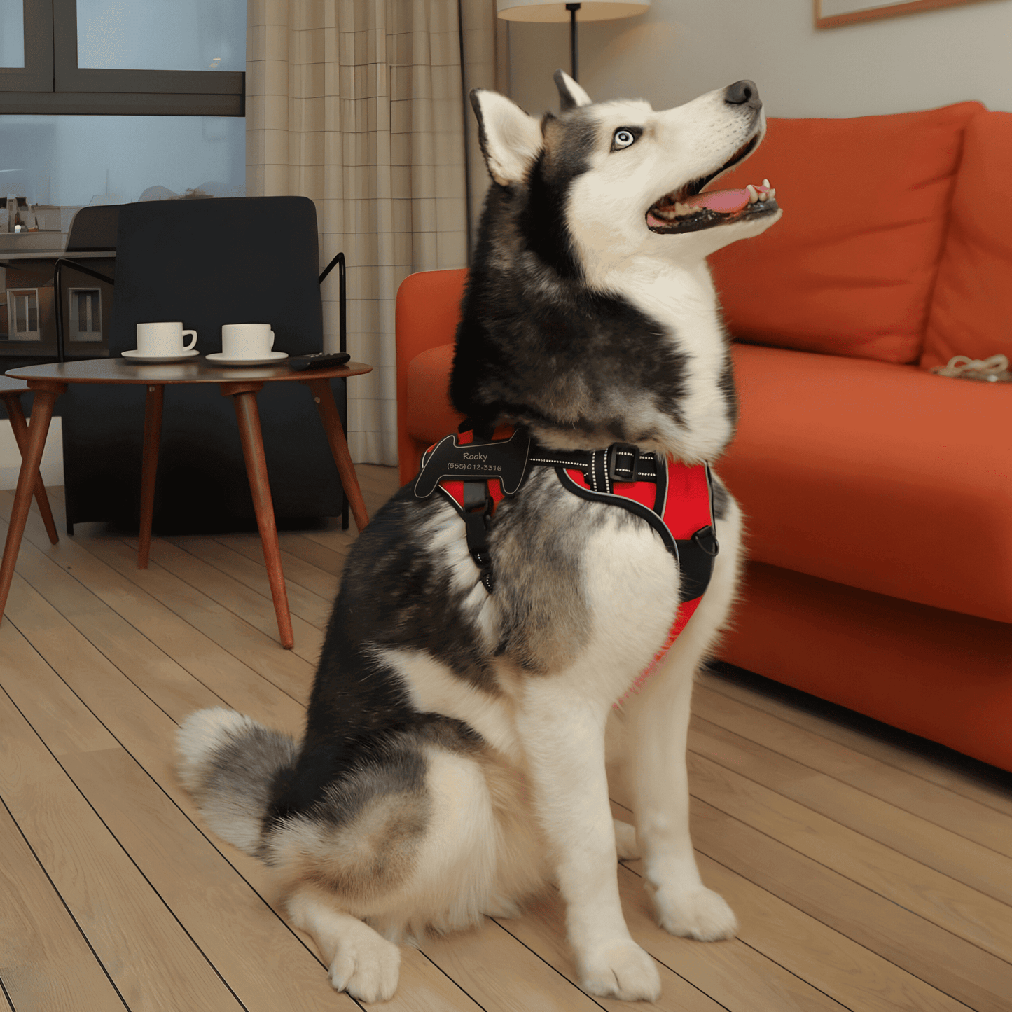 Personalized Dog Harness