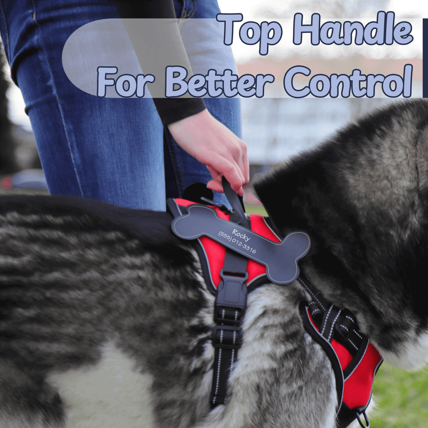 Personalized Dog Harness