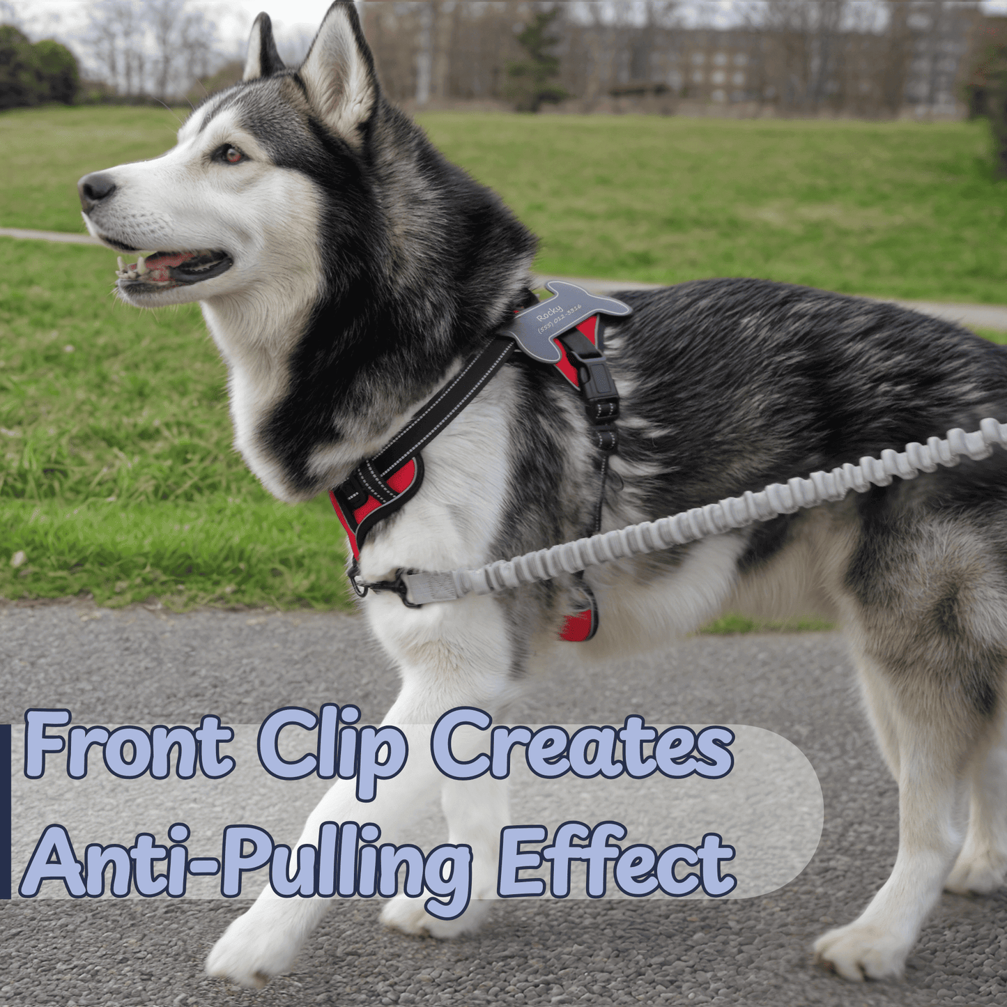 Personalized Dog Harness