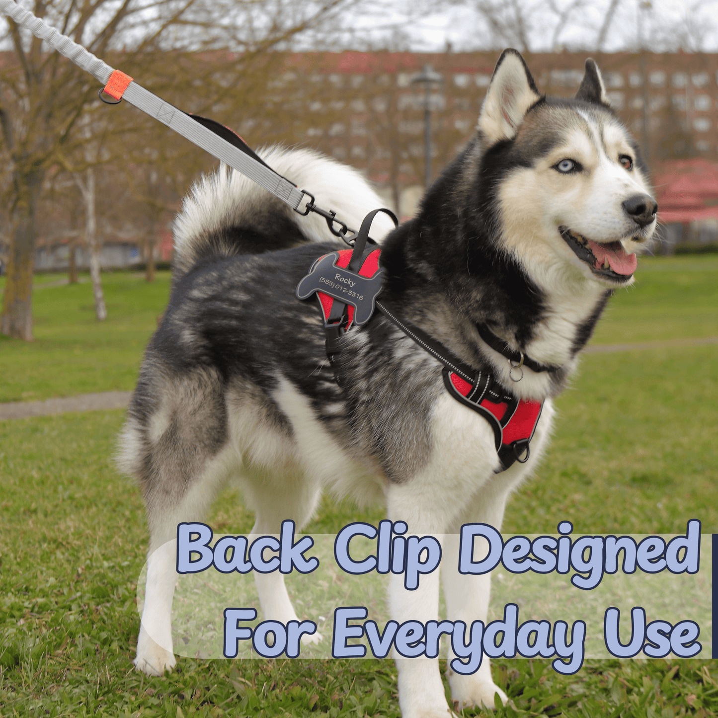 Personalized Dog Harness