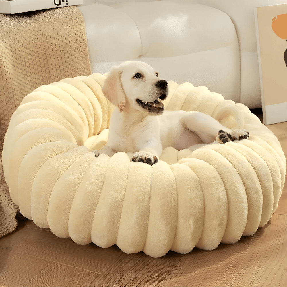 Doughnut Dog Bed