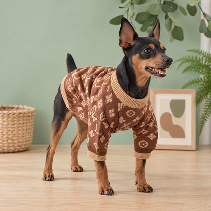 Dog standing in a knit sweater