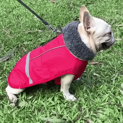 Waterproof Adjustable Dog Coat with Warm Fleece Lining