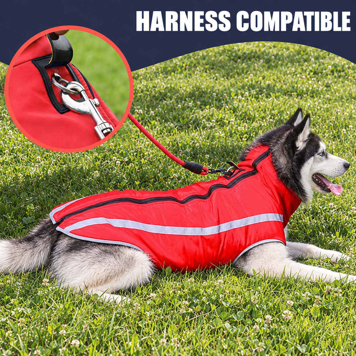 Waterproof Reflective Winter Dog Jacket & Coat with Warm Cotton Lining and Adjustable Neck