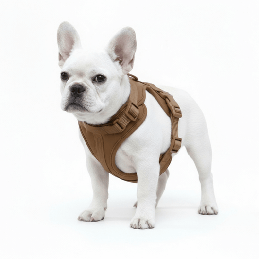 Feather-Light No-Pull Harness