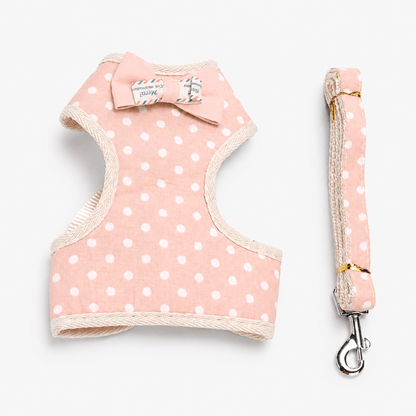 Small Bow Tie Pet Harness & Lead Set