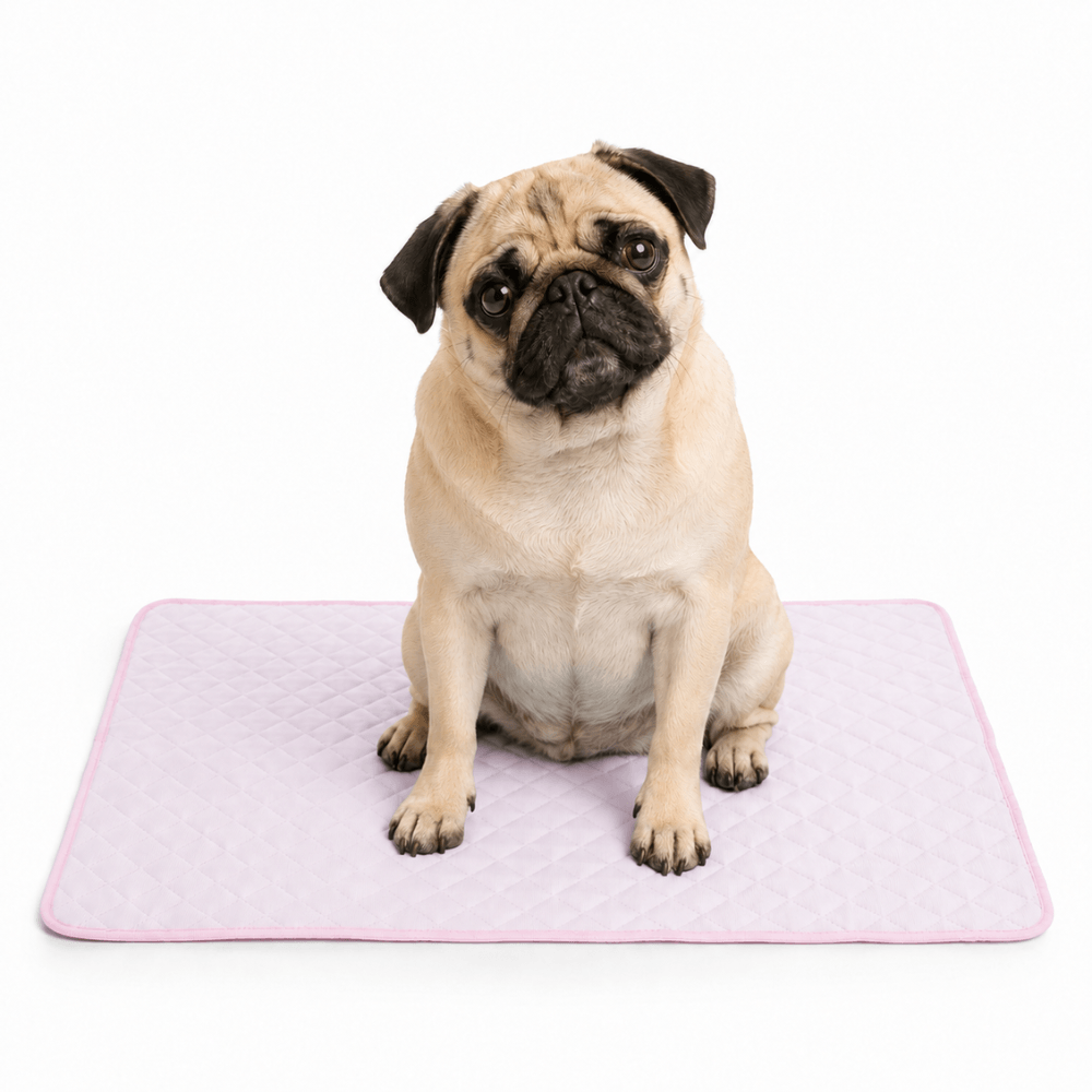 4-Layer Dog Cooling Mat