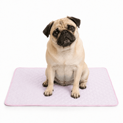 4-Layer Dog Cooling Mat