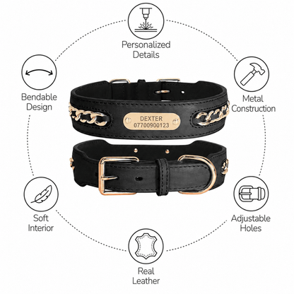 Premium Leather Custom Nameplate Dog Collar