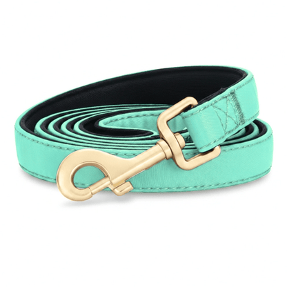 Nylon Dog Lead 150 cm