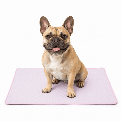 4-Layer Dog Cooling Mat