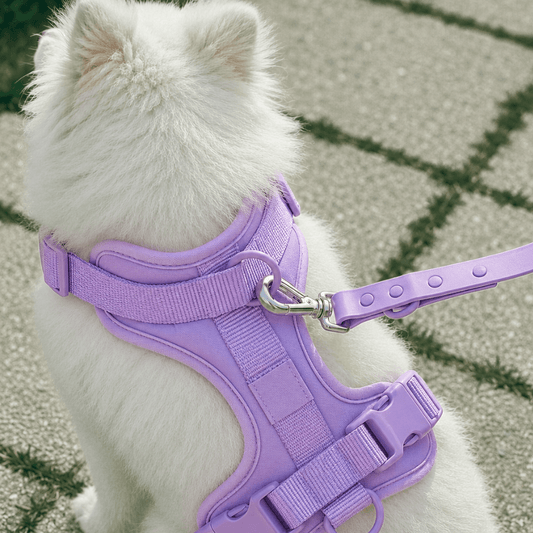No-Pull Comfort Dog Harness