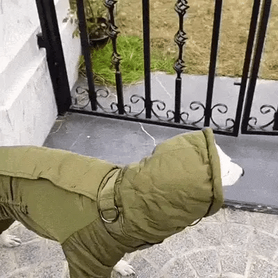 Army Green Waterproof Fleece Lined Warm Dog Coat