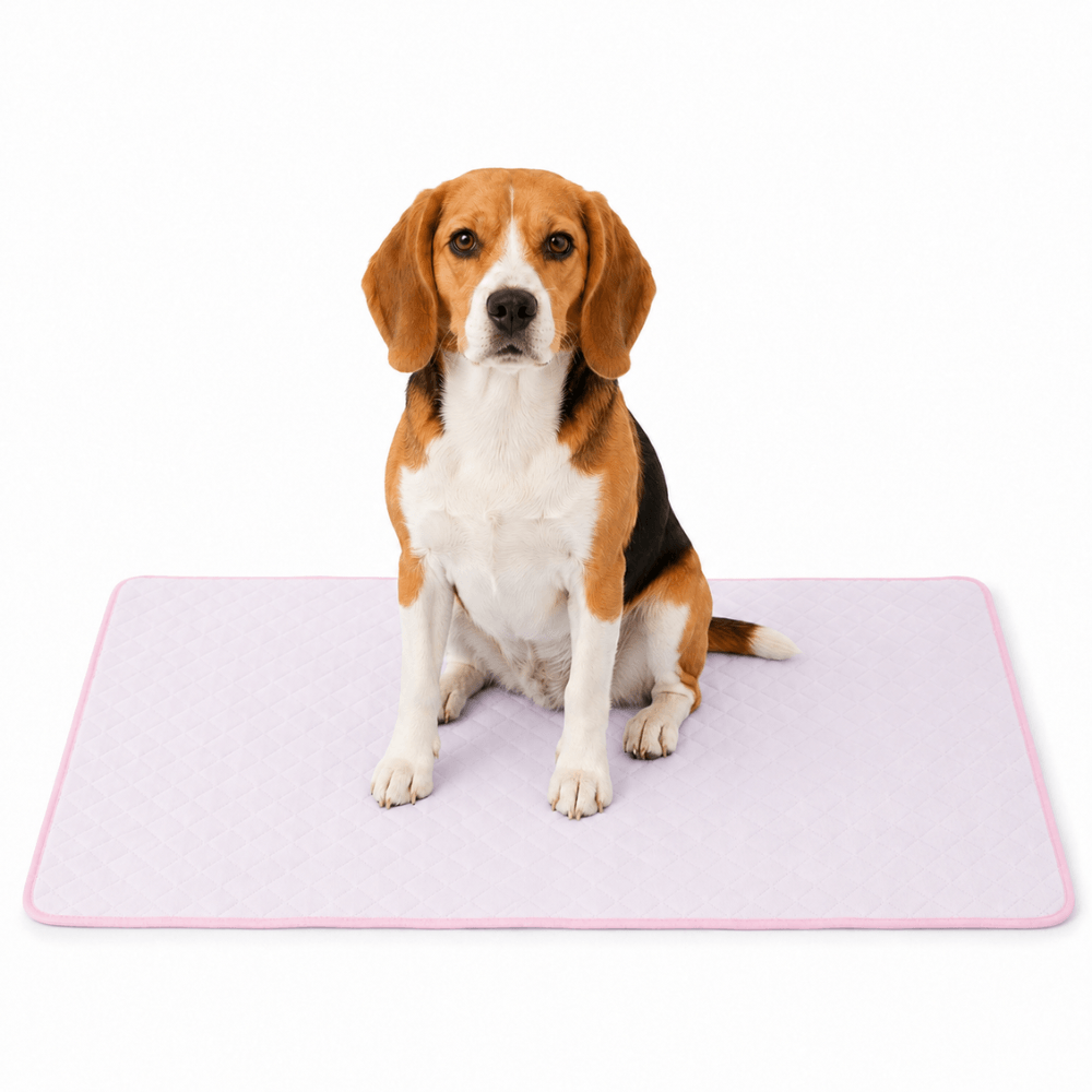 4-Layer Dog Cooling Mat