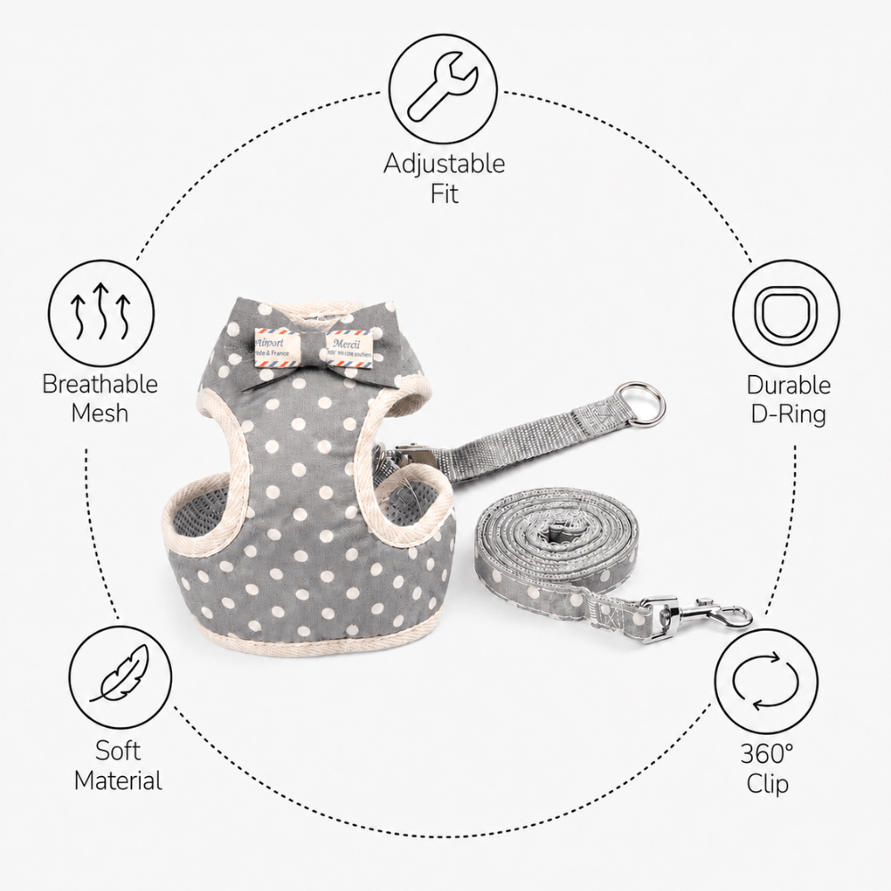 Small Bow Tie Pet Harness & Lead Set