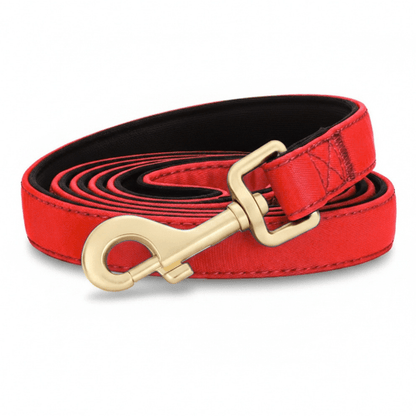 Nylon Dog Lead 150 cm
