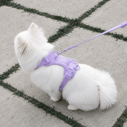 No-Pull Comfort Dog Harness