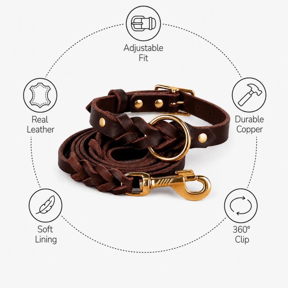 Genuine Leather Dog Collar & Lead Set