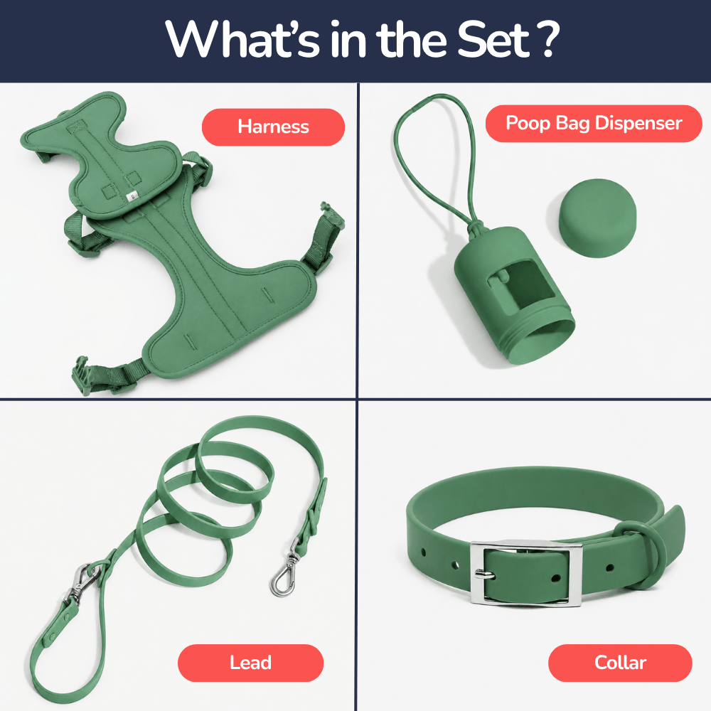 4-Piece Dog Harness & Lead Set