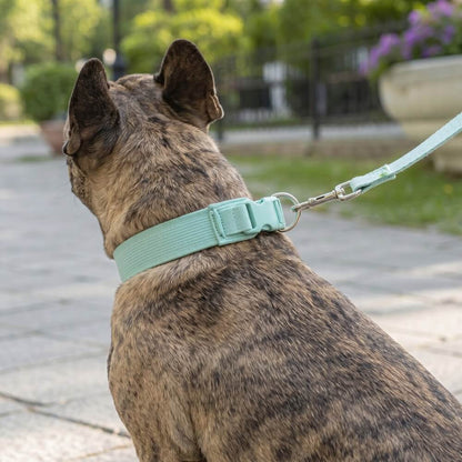 Corduroy Dog Collar