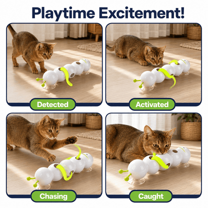 Cat Fun & Automatic Caterpillar Interactive Toy for Indoor Self-Play