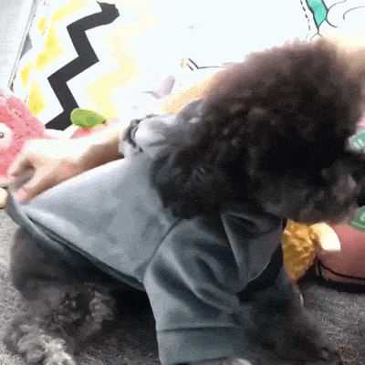 Stylish Christmas Fleece Dog Hoodie