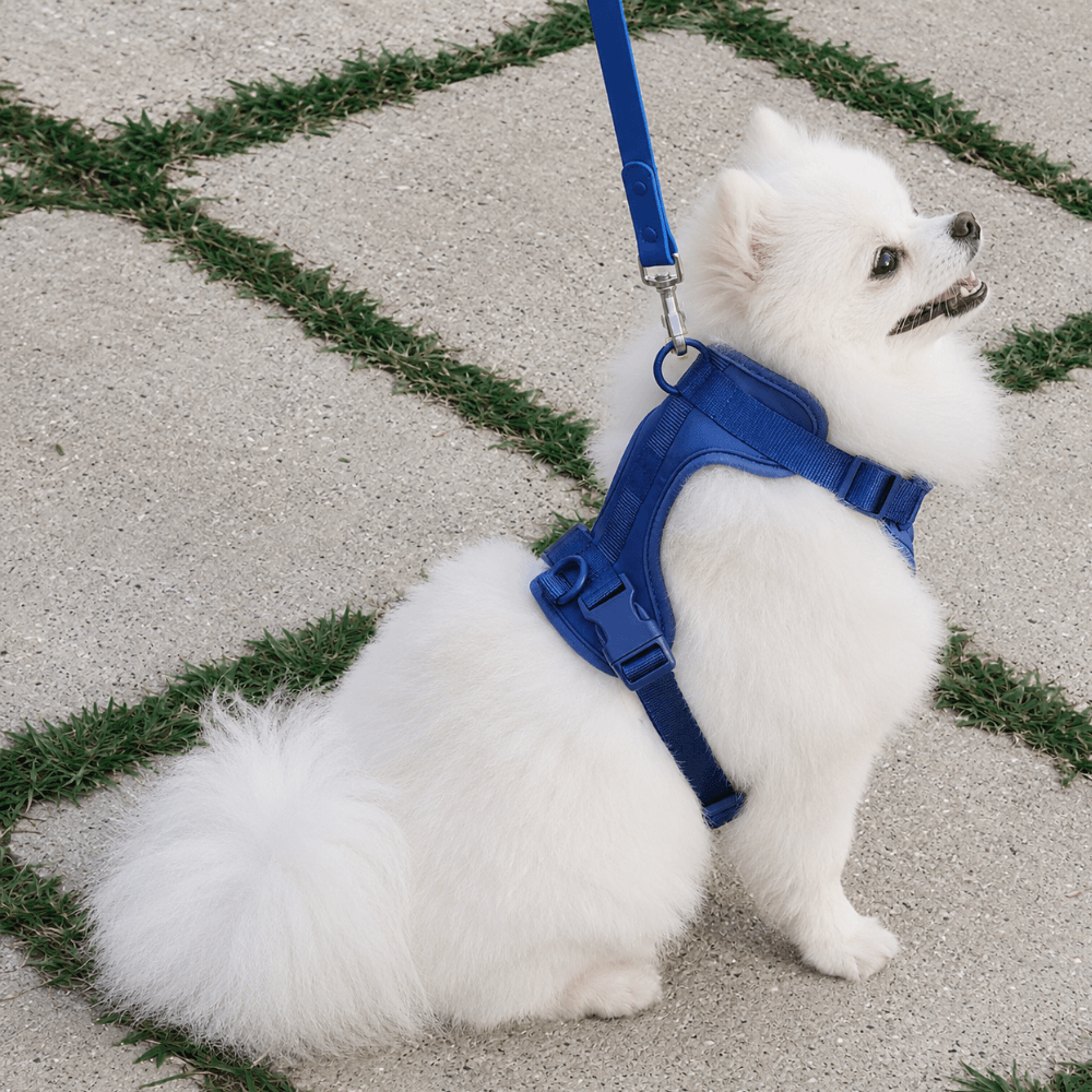 No-Pull Comfort Dog Harness