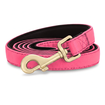 Nylon Dog Lead 150 cm