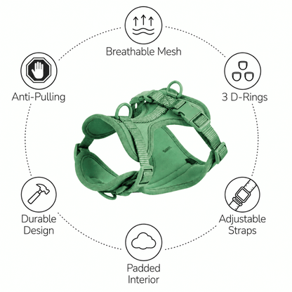 4-Piece Dog Harness & Lead Set