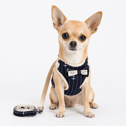Small Bow Tie Pet Harness & Lead Set
