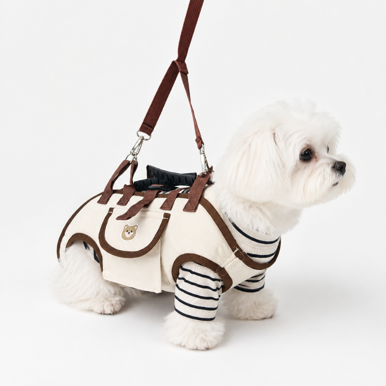 Maltese wearing cream and brown pet carrier
