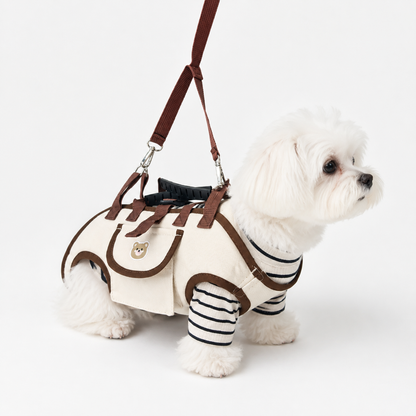Maltese wearing cream and brown pet carrier