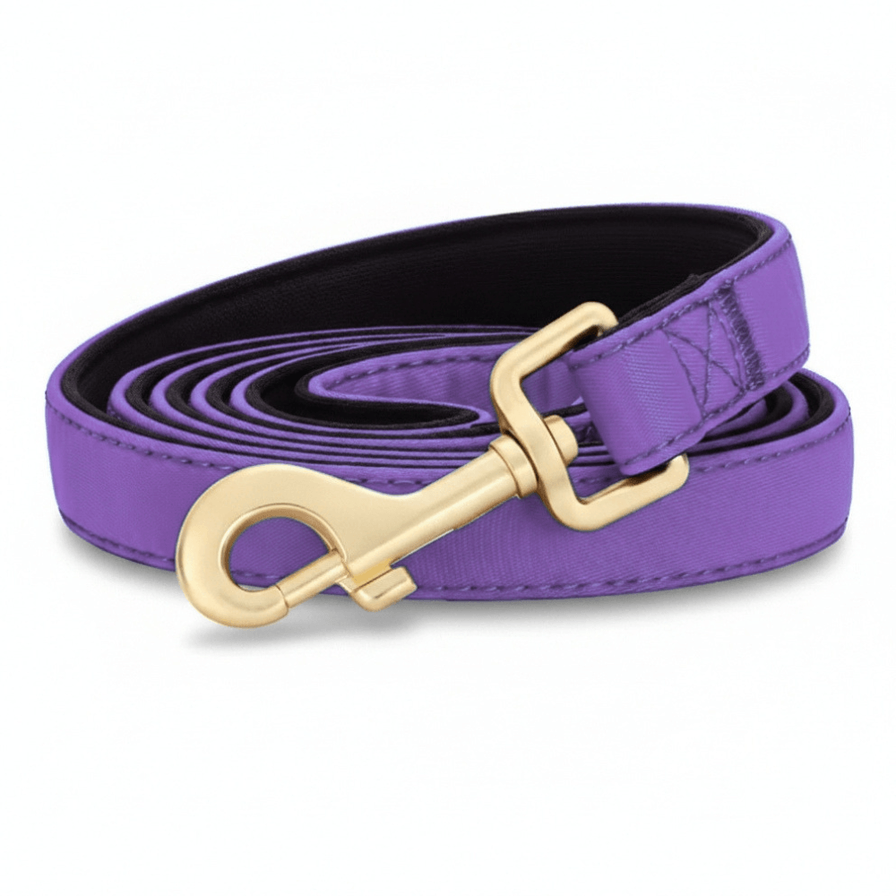Nylon Dog Lead 150 cm