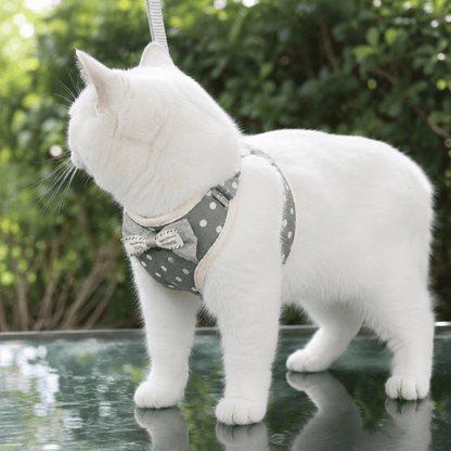 Small Bow Tie Pet Harness & Lead Set