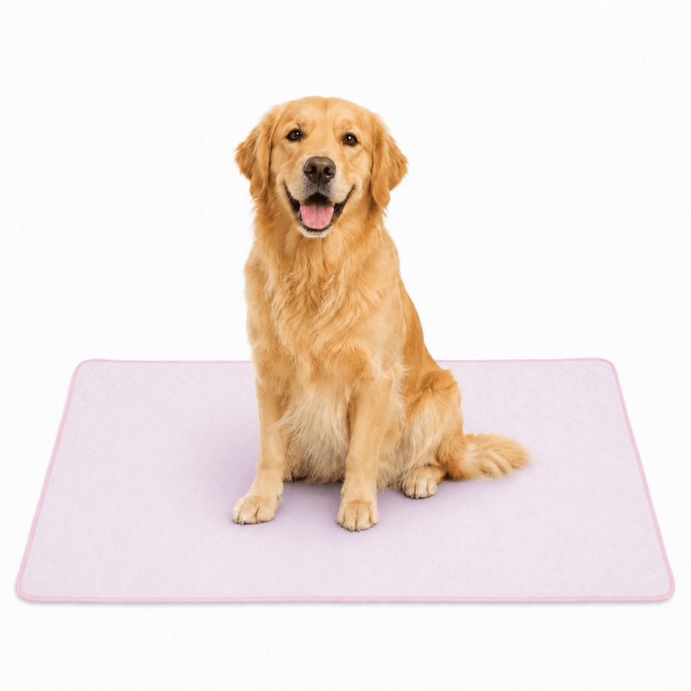 4-Layer Dog Cooling Mat