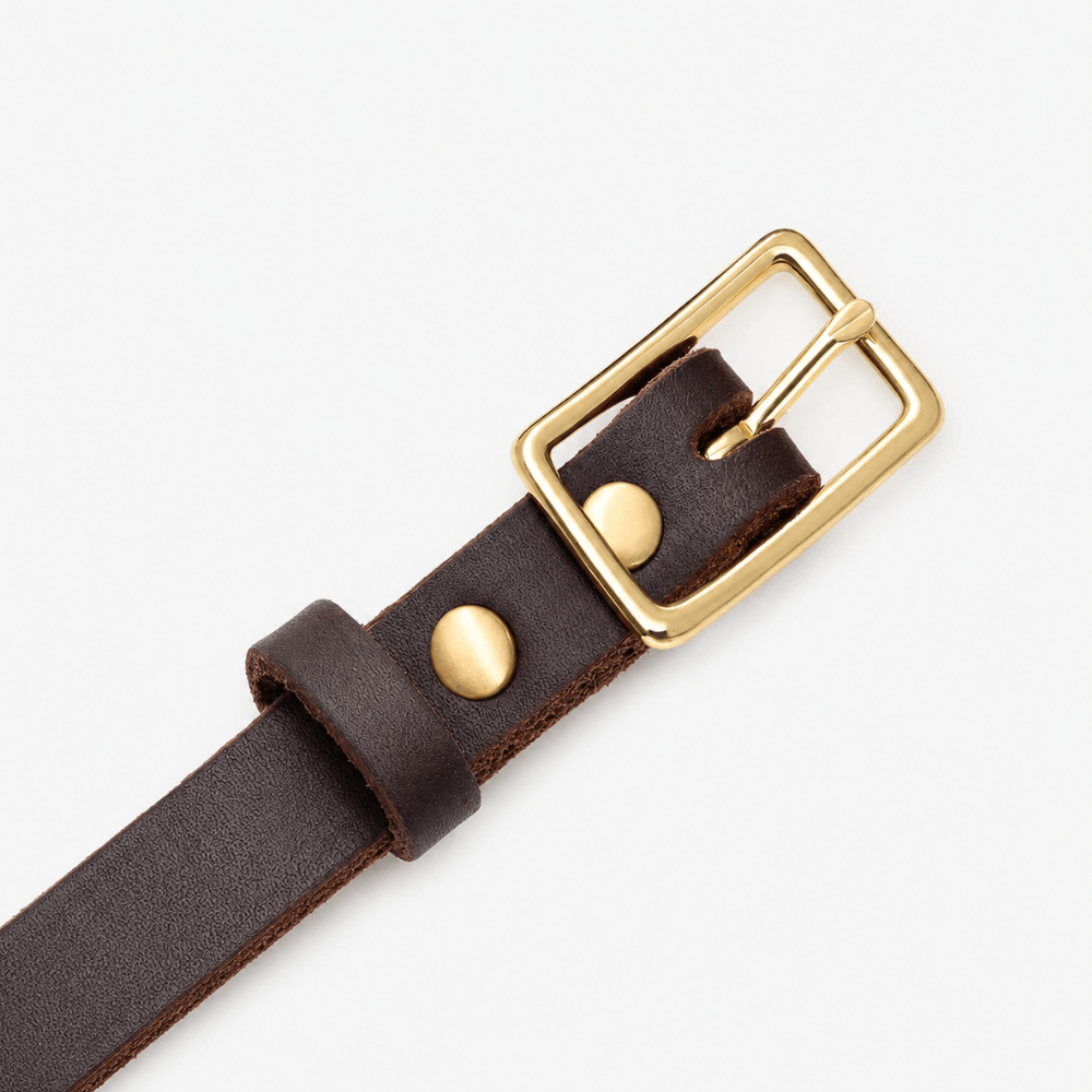 Genuine Leather Dog Collar & Lead Set