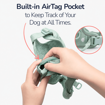 No-Pull Corduroy Dog Harness