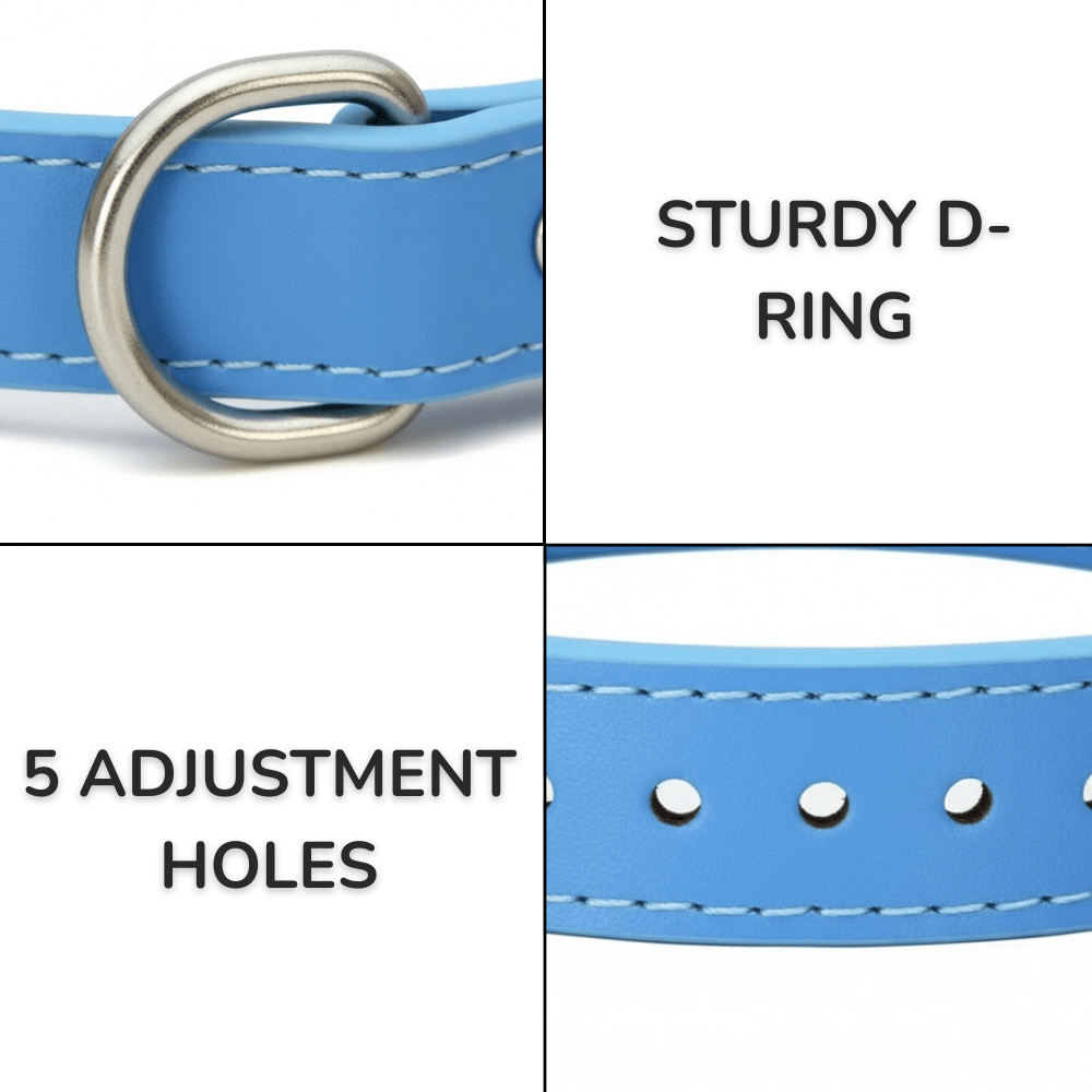Classic Everyday Dog Collar