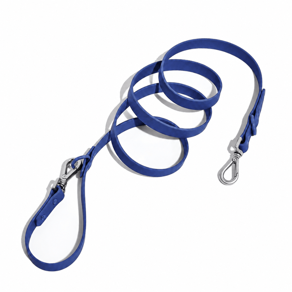 Classic Dog Lead