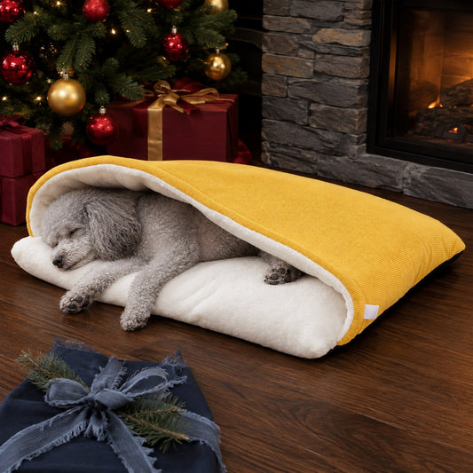 Poodle resting in a dog sleeping bag