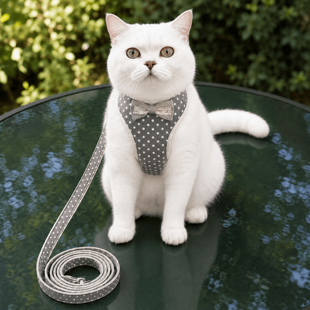 Small Bow Tie Pet Harness & Lead Set