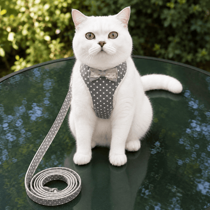 Small Bow Tie Pet Harness & Lead Set