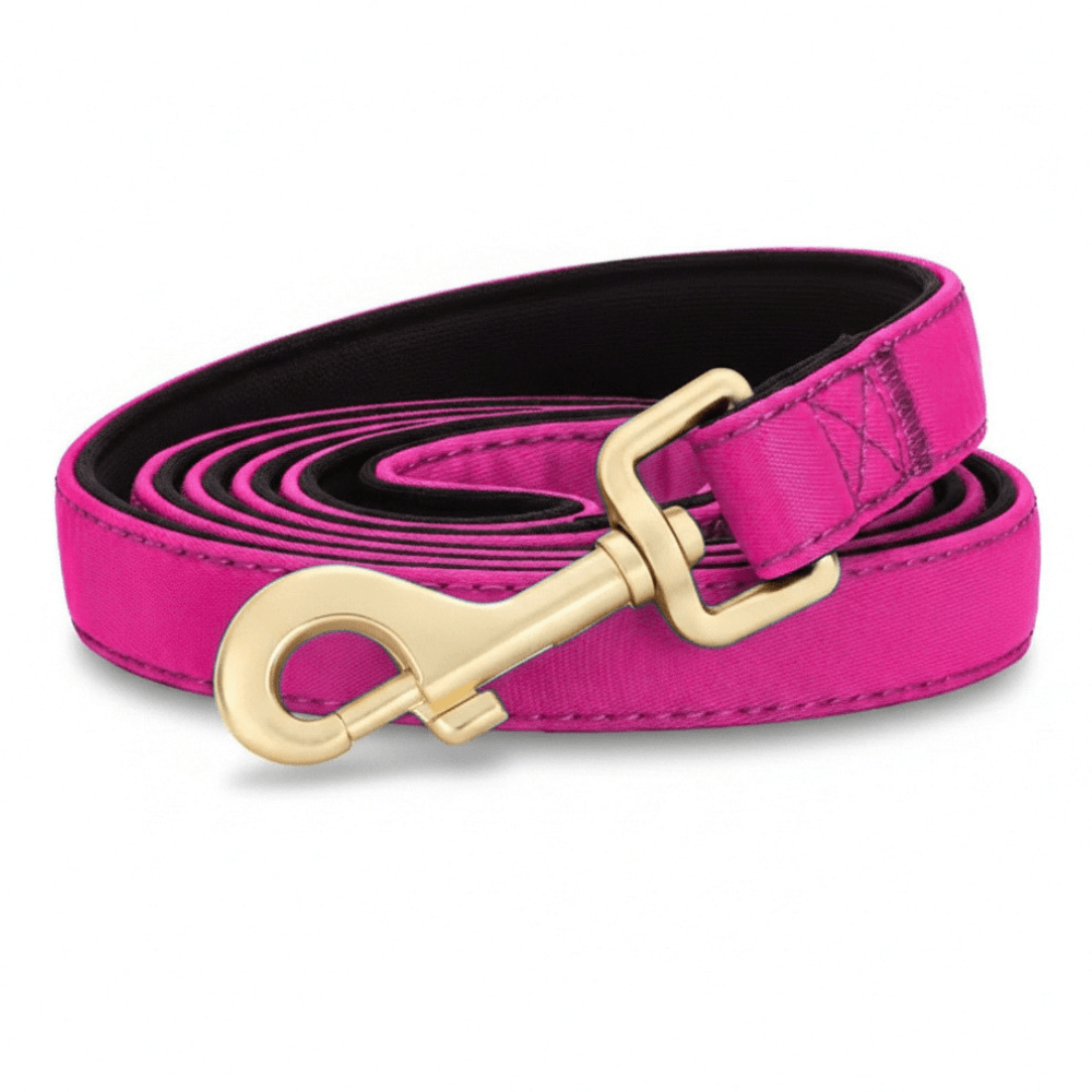 Nylon Dog Lead 150 cm