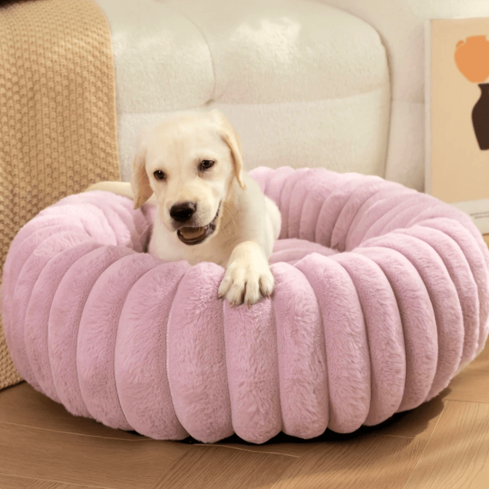 Doughnut Dog Bed