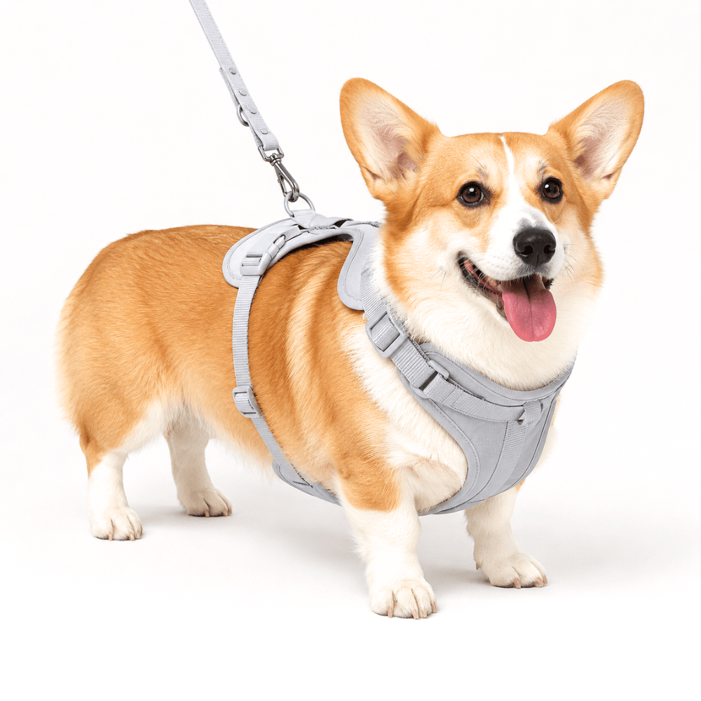 No-Pull Comfort Dog Harness