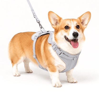 No-Pull Comfort Dog Harness