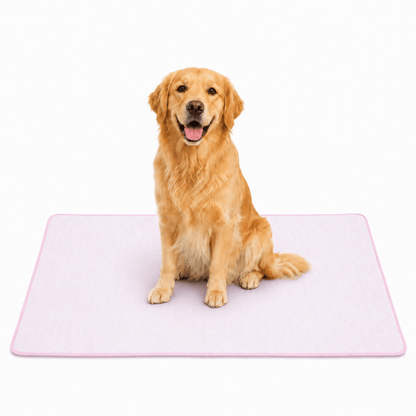 4-Layer Dog Cooling Mat
